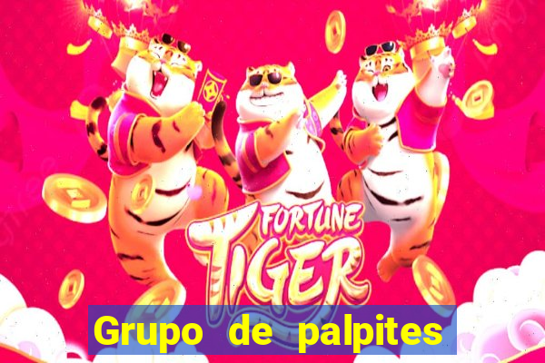 Grupo de palpites de futebol gratis